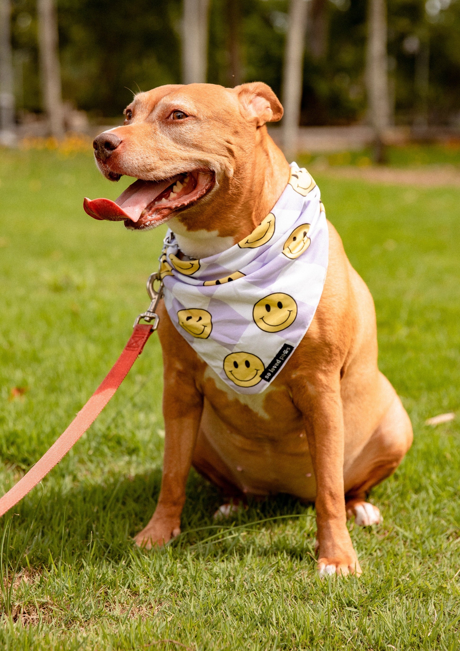 Smiley Bandana