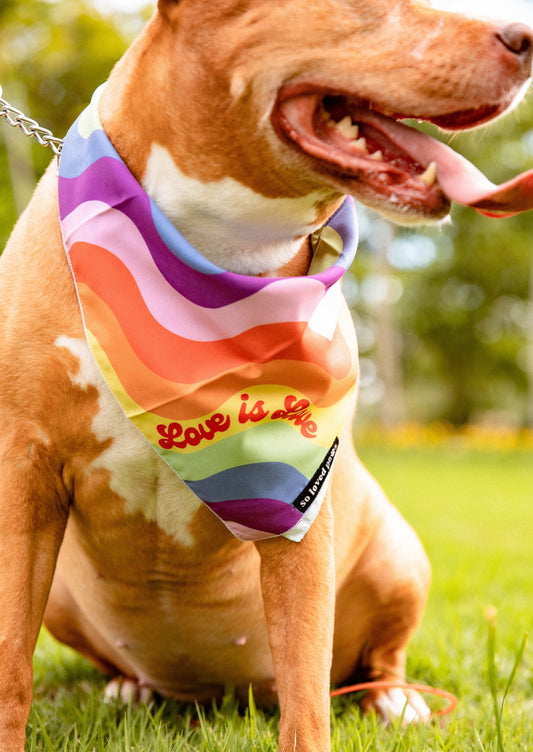 Love is Love bandana