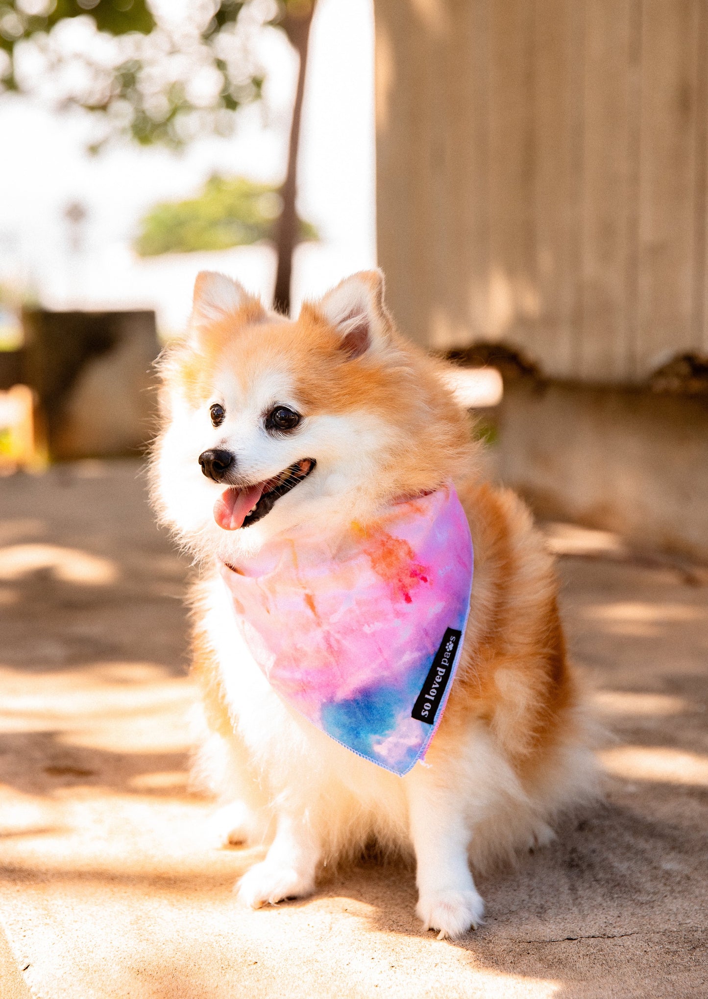 Tie Dye Bandana