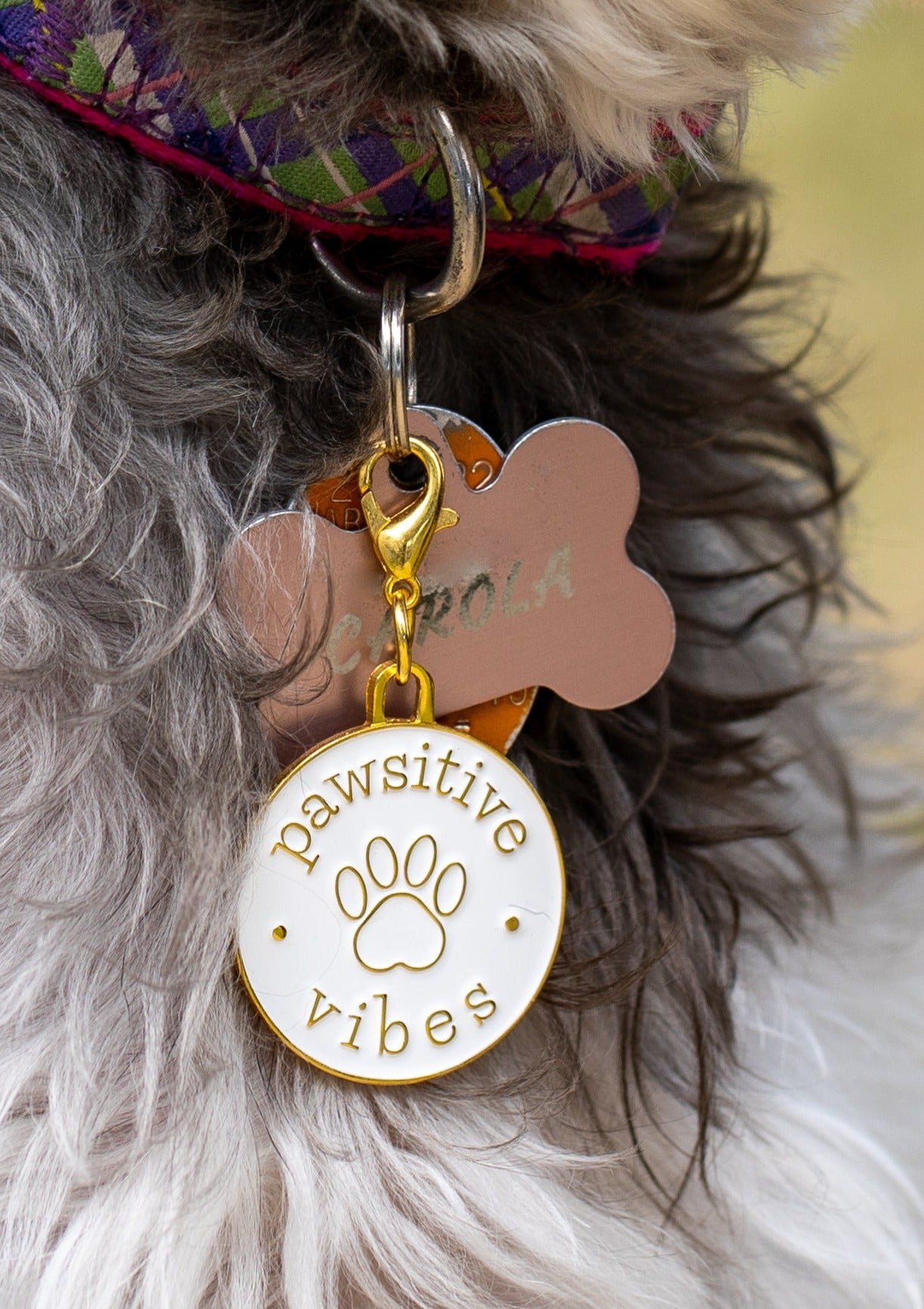 Pawsitive Vibes Charm